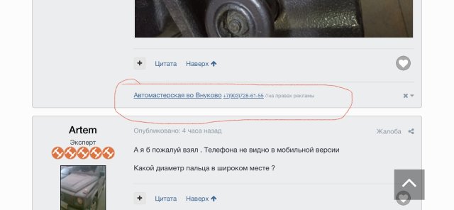 IMG_2350.jpeg