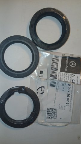 IMG-20250404-WA0051.jpeg